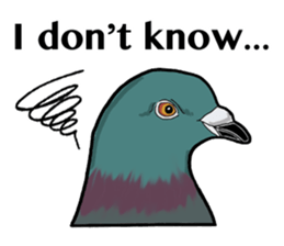 Birds of the world sticker #7740263