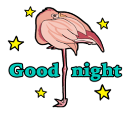 Birds of the world sticker #7740266