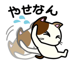 Miytan,Kumamoto valve of a calico cat 3 sticker #7740531