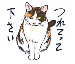 Tortoiseshell cat 2 sticker #7741511