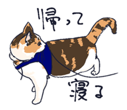 Tortoiseshell cat 2 sticker #7741516
