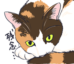 Tortoiseshell cat 2 sticker #7741519