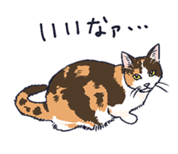 Tortoiseshell cat 2 sticker #7741534