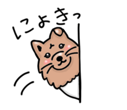 Koro,japanese dog sticker #7744268