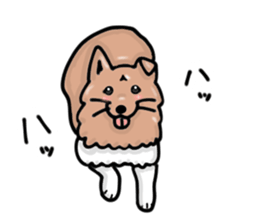Koro,japanese dog sticker #7744280