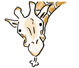 Lovely giraffe stickers 2 sticker #7745934