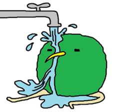 Kiwi.. sticker #7746413