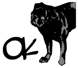 black pug sticker #7749493