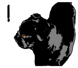 black pug sticker #7749495
