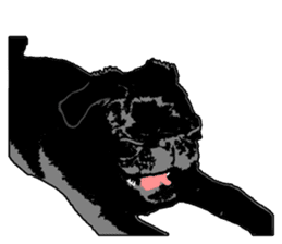 black pug sticker #7749500