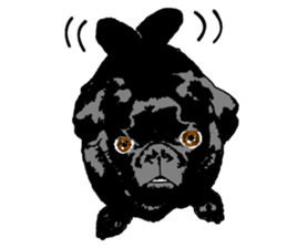 black pug sticker #7749508