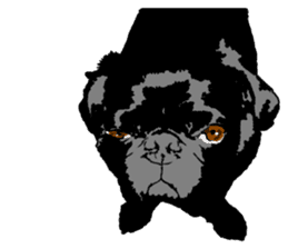 black pug sticker #7749516
