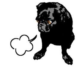 black pug sticker #7749517
