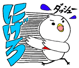 My name is of duck Niwa's 2 sticker #7749662