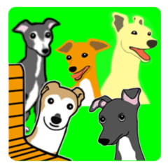 Bowwow Friends