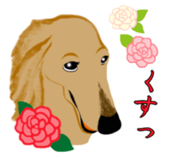Bowwow Friends sticker #7753393