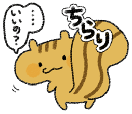 Playful squirrel sticker #7753522