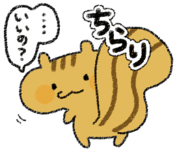 Playful squirrel sticker #7753522