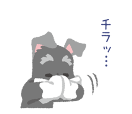 Tuna of Schnauzer 5 sticker #7755007