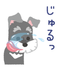 Tuna of Schnauzer 5 sticker #7755014