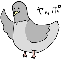 Pigeon John