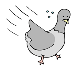 Pigeon John sticker #7758616