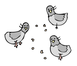Pigeon John sticker #7758623