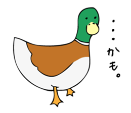 Pigeon John sticker #7758628