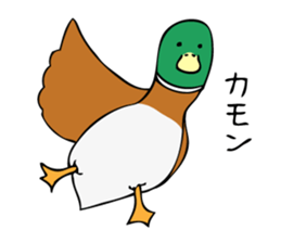 Pigeon John sticker #7758629