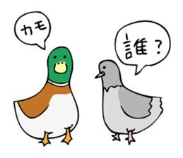 Pigeon John sticker #7758630