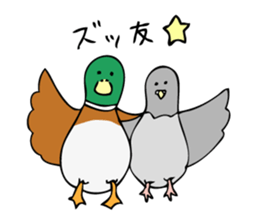 Pigeon John sticker #7758631