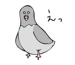 Pigeon John sticker #7758634