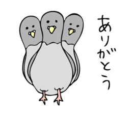 Pigeon John sticker #7758642