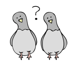 Pigeon John sticker #7758645