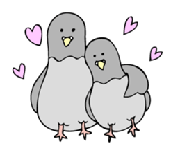 Pigeon John sticker #7758647