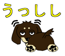 I love Miniature Dachshund 2 sticker #7759858