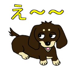 I love Miniature Dachshund 2 sticker #7759862