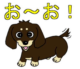 I love Miniature Dachshund 2 sticker #7759863