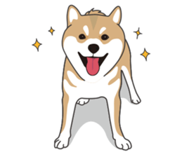 Mr. Shiba Inu sticker #7760374