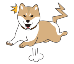 Mr. Shiba Inu sticker #7760375