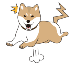 Mr. Shiba Inu sticker #7760375