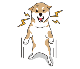 Mr. Shiba Inu sticker #7760379