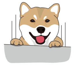 Mr. Shiba Inu sticker #7760380