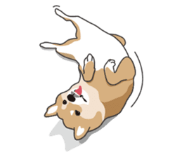 Mr. Shiba Inu sticker #7760381