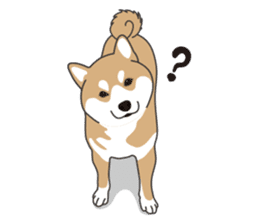 Mr. Shiba Inu sticker #7760382