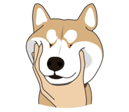 Mr. Shiba Inu sticker #7760385