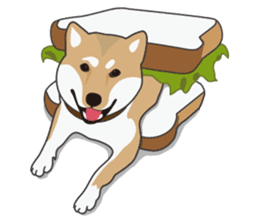 Mr. Shiba Inu sticker #7760388