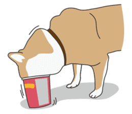 Mr. Shiba Inu sticker #7760389