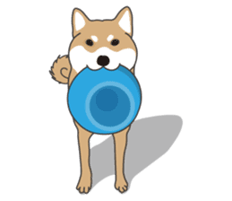 Mr. Shiba Inu sticker #7760390