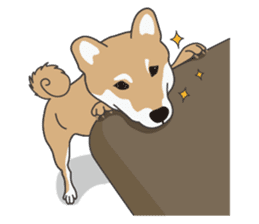 Mr. Shiba Inu sticker #7760393